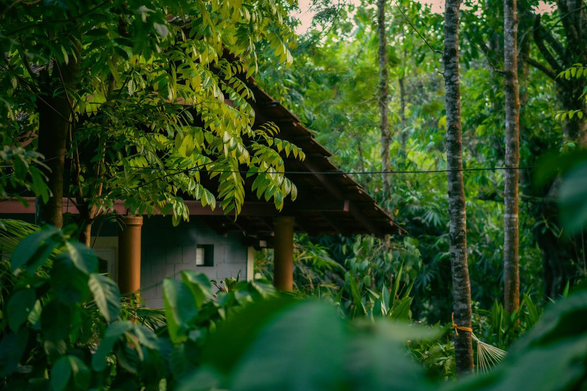 Coorg, Karnataka-India